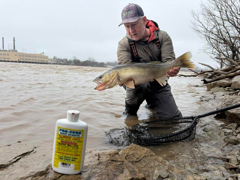 Best Scent for Walleye Fishing — The Trophy Walleye System