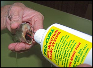 Pro-Cure® BAIT INJECTION SYSTEM