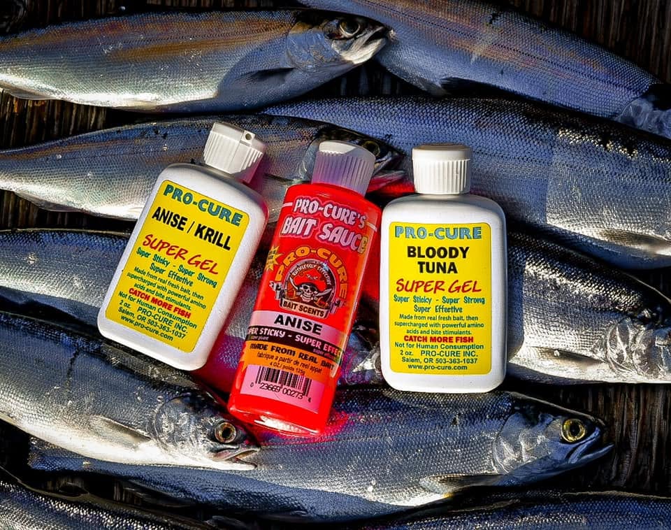 Three Pro-Cure Super Gel bottles on rows of fresh baitfish