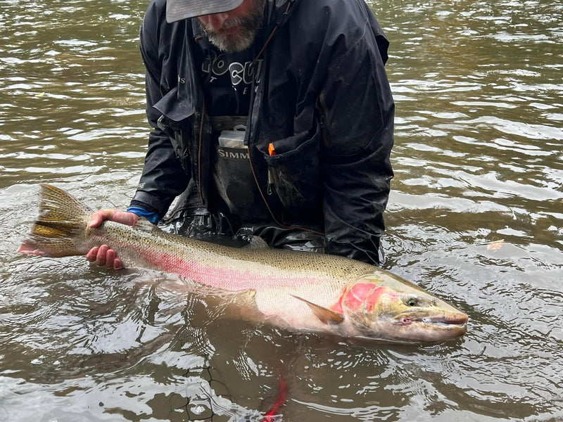 Best Scent for Steelhead — The PNW Guide's Stack