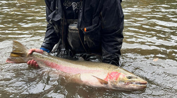 Best Scent for Steelhead — The PNW Guide's Stack
