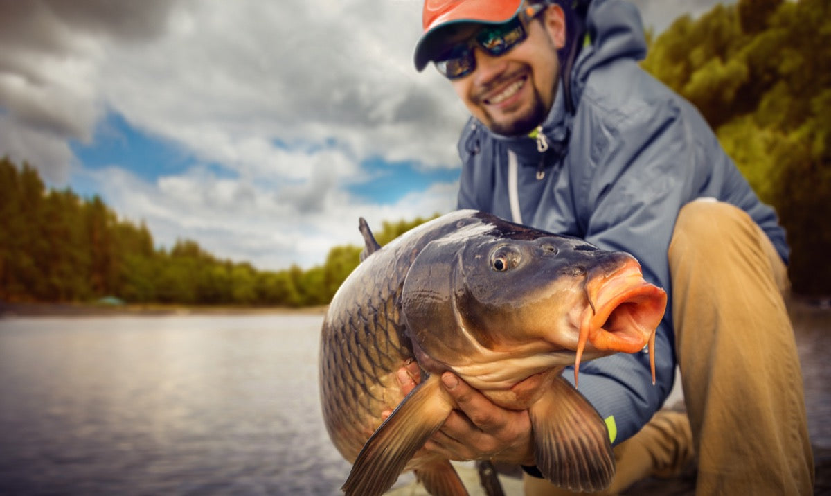 Carp fishing with Pro-Cure