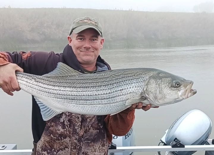 Striped Bass fishing with Pro-Cure