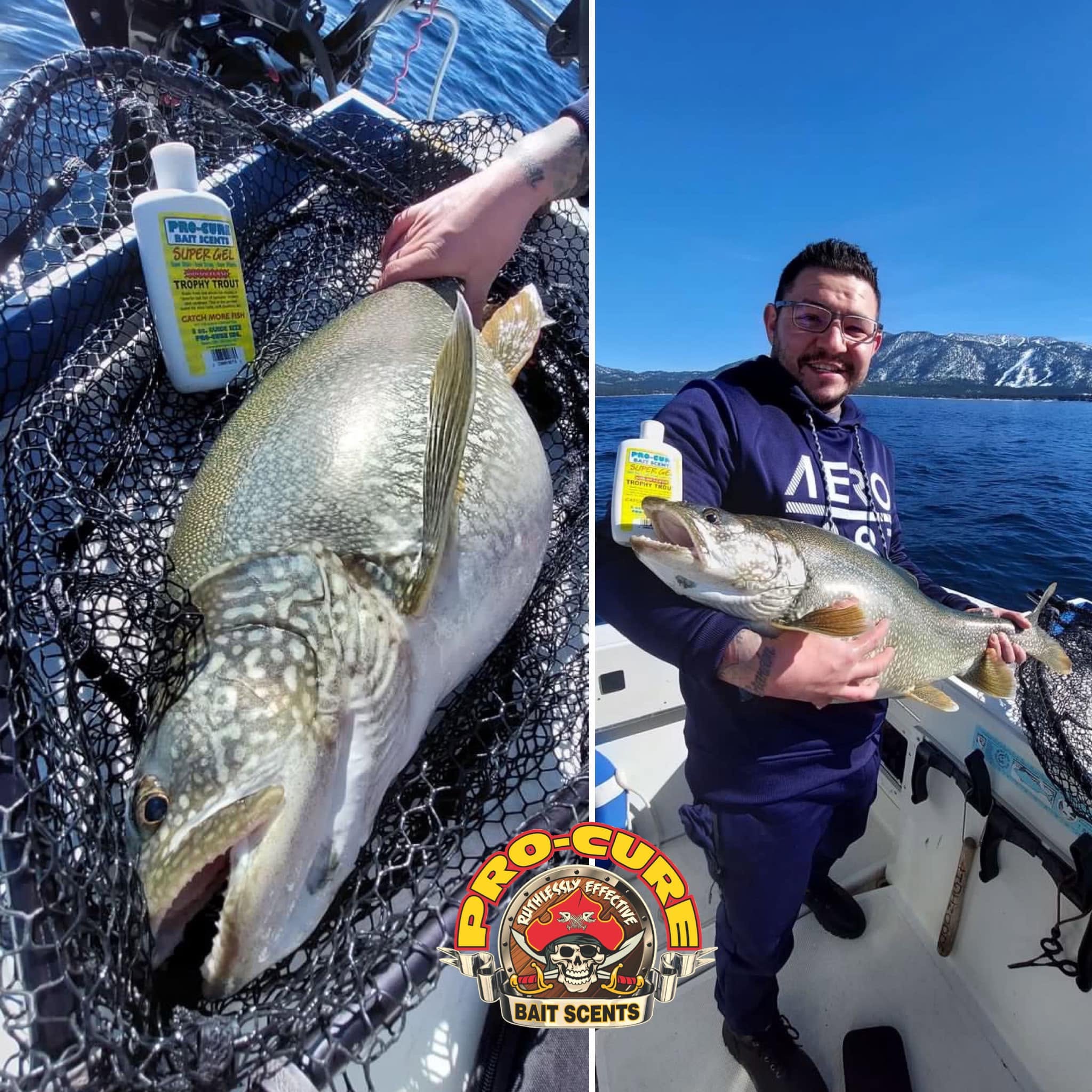 Lake Trout fishing with Pro-Cure