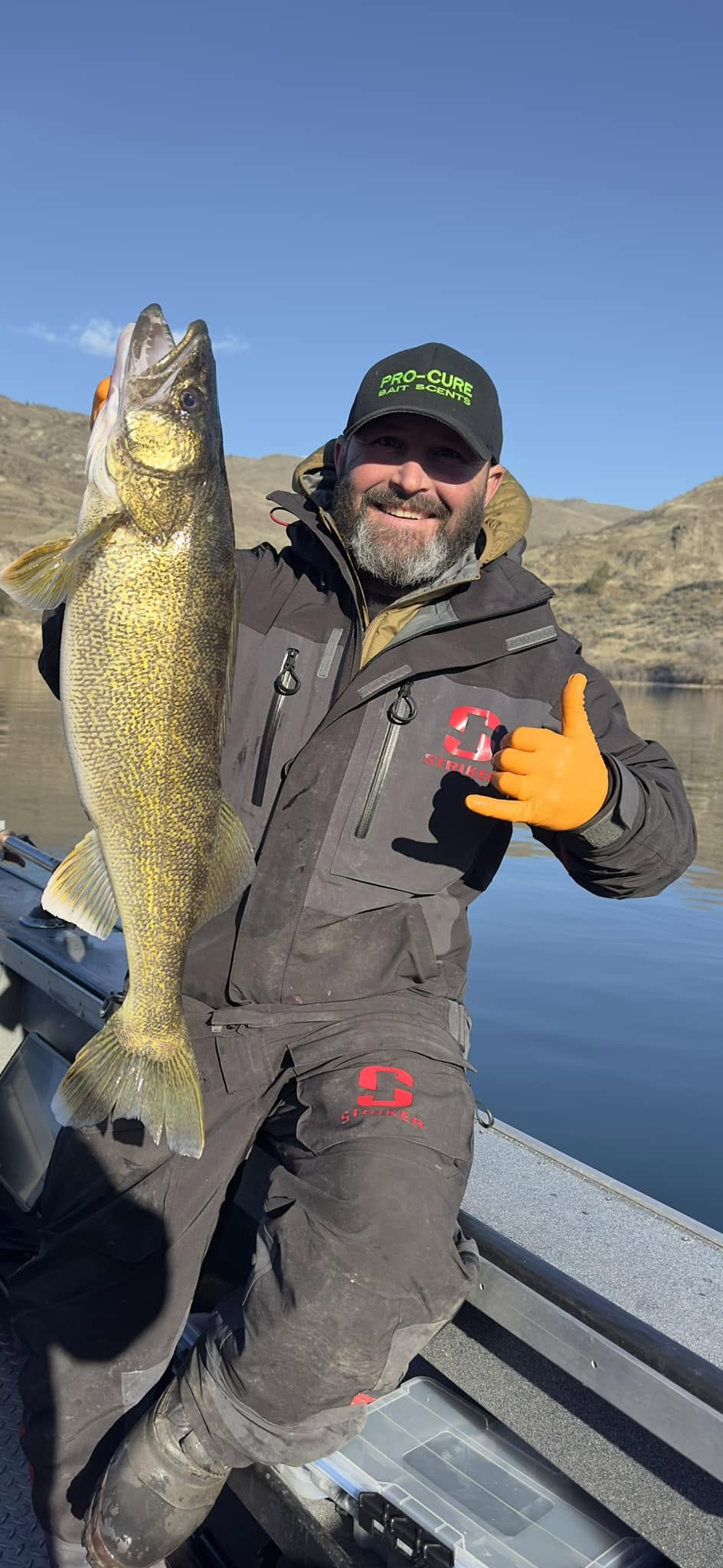 Walleye fishing with Pro-Cure